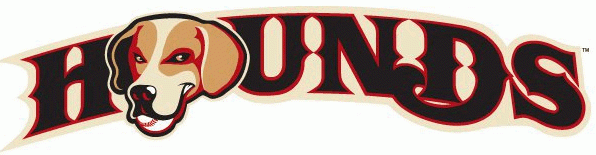 Loudoun Hounds 2014 Wordmark Logo iron on heat transfer